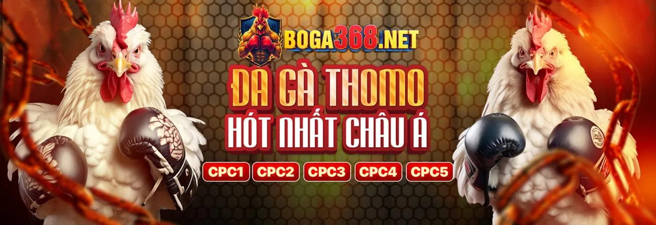 Trải nghiệm Live Casino với Dealer chuyên nghiệp